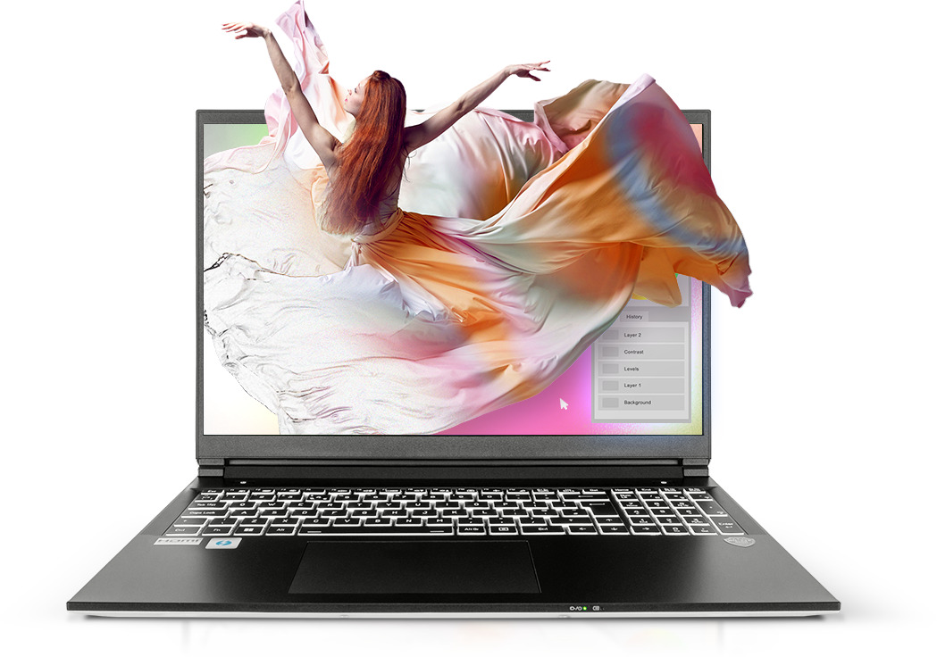 lafite laptop